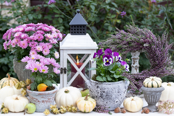 Décorations d'automne colorées pour terrasse et balcon