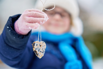 Leuk met de kids: lok dieren naar jouw wintertuin!