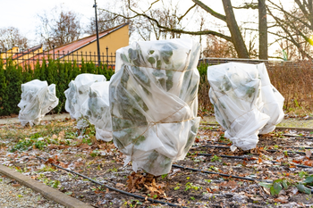 Protégez vos plantes du gel et aidez-les à passer l'hiver