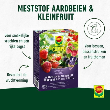 Compo - Aardbeien meststof - afbeelding 2