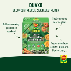 Compo Duaxo Concentraat - afbeelding 2