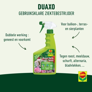 Compo Duaxo Spray Rozen - afbeelding 2